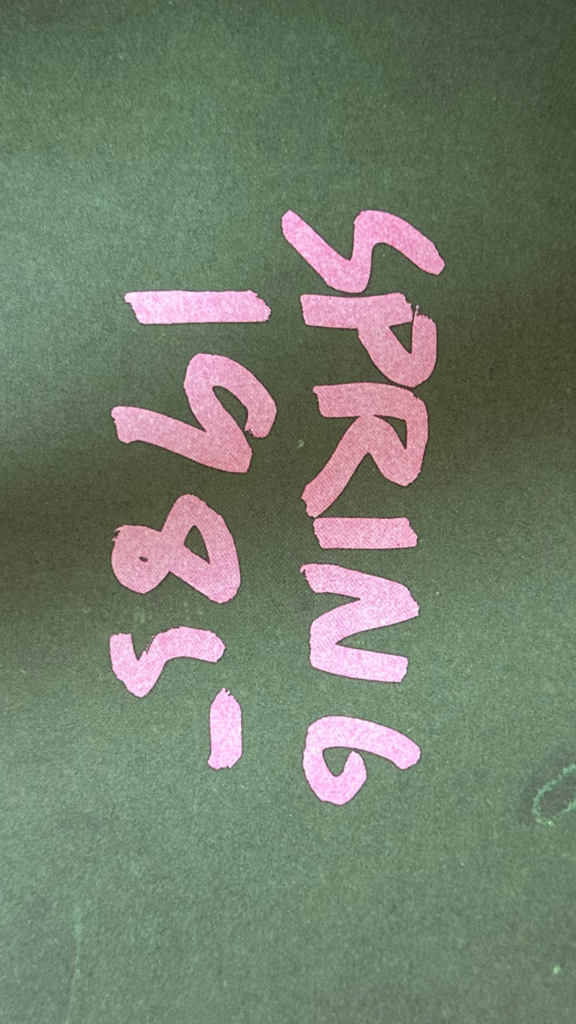 SUMMER CAPSULE